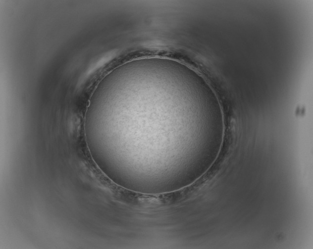 X0000112411302200908211112