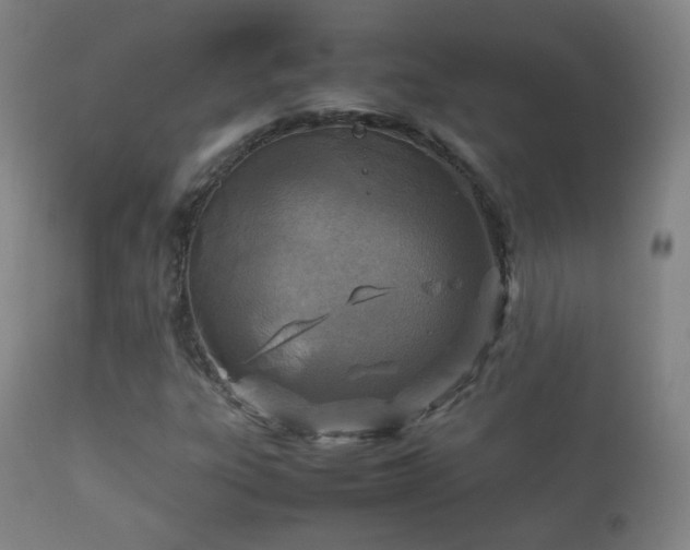 X0000112411303200908211112