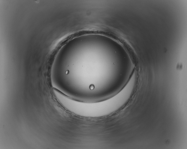 X0000112411304200908211112