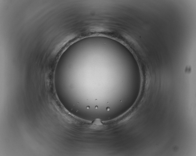 X0000112411305200908211112