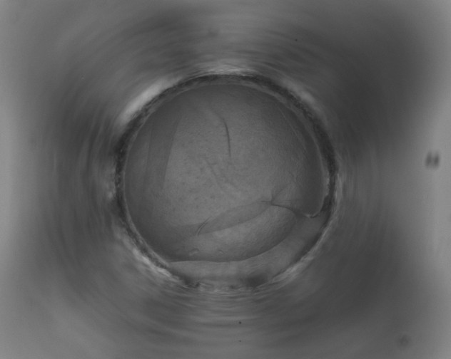 X0000112411306200908211112