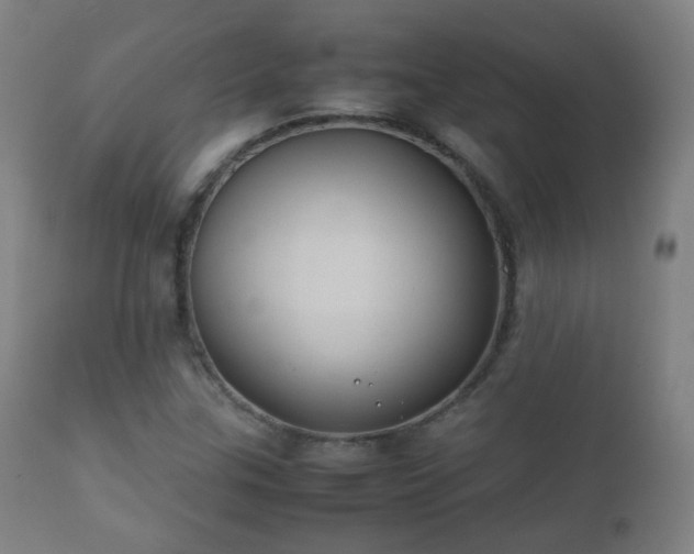 X0000112411307200908211112