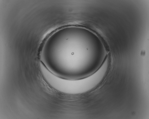 X0000112411308200908211112