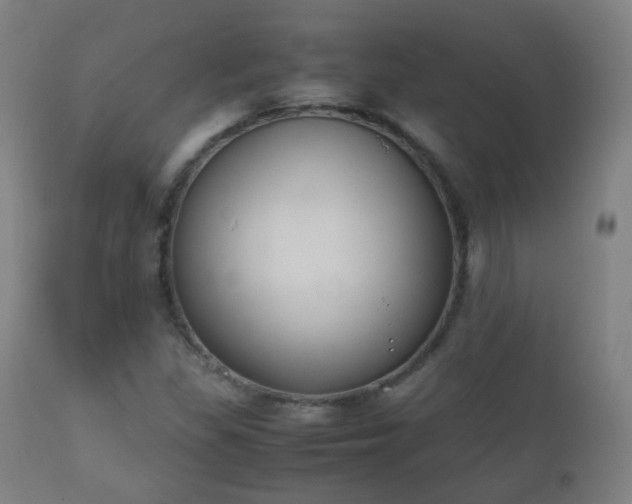 X0000112411309200908211112