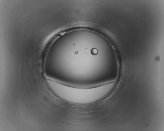 X0000112411310200908211112