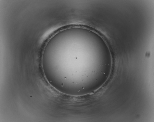 X0000112411311200908211112