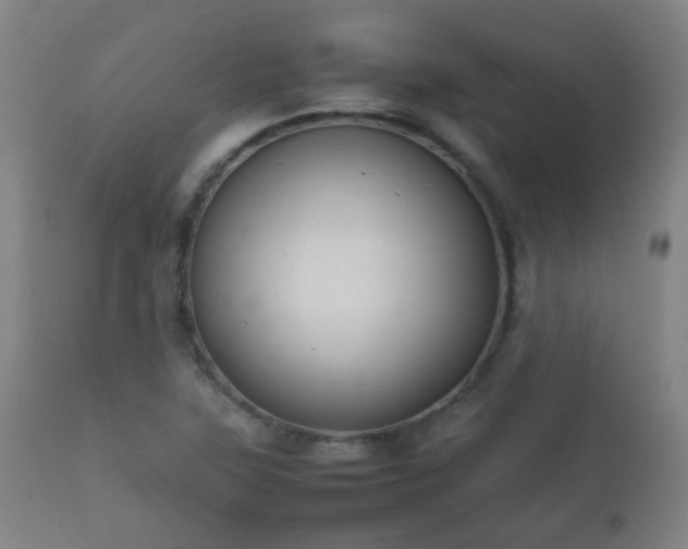X0000112411315200908211112