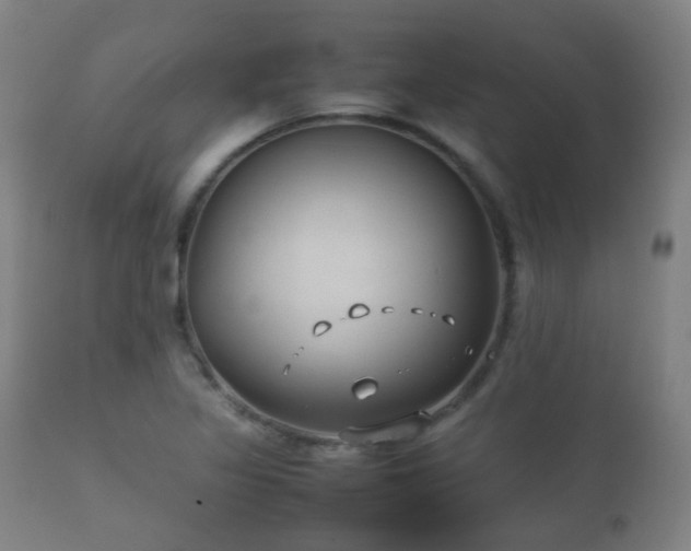 X0000112411317200908211112