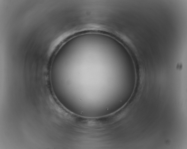 X0000112411318200908211112