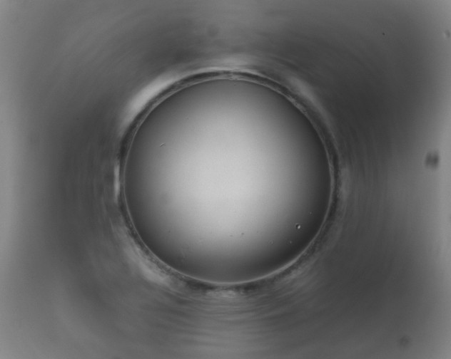 X0000112411320200908211112