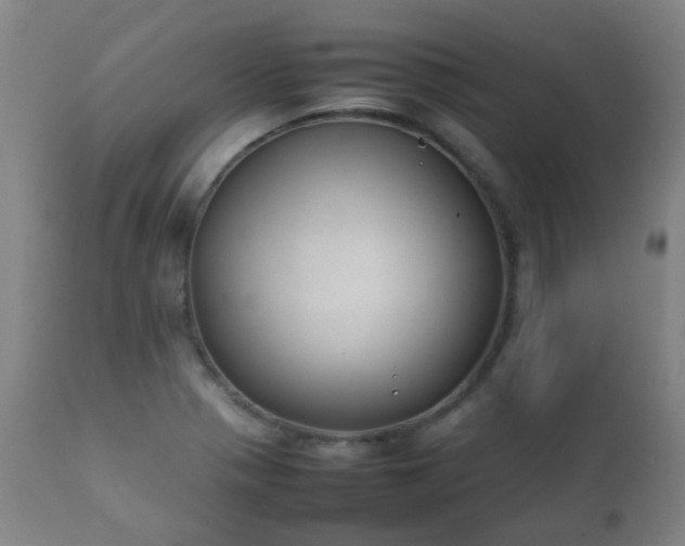 X0000112411321200908211112