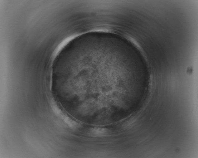 X0000112411323200908211112