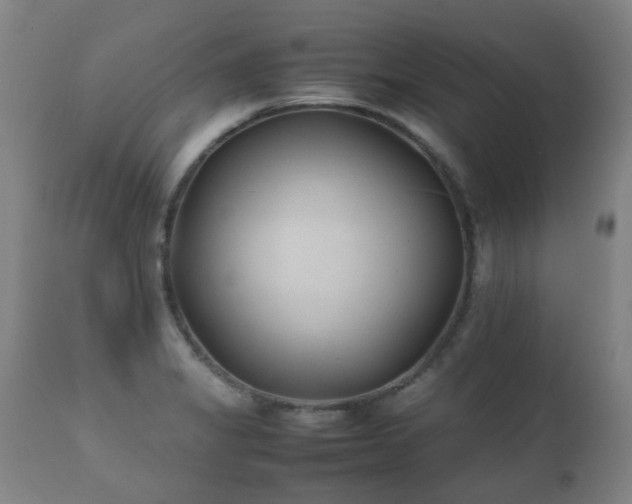 X0000112411325200908211112