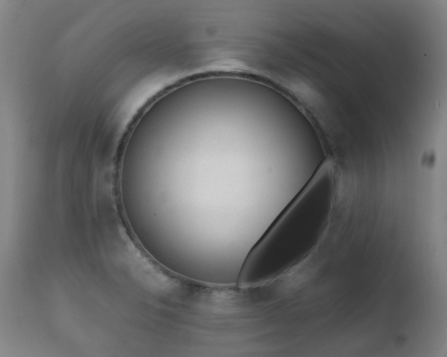 X0000112411326200908211112