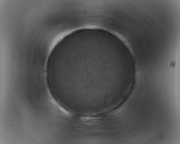 X0000112411327200908211112