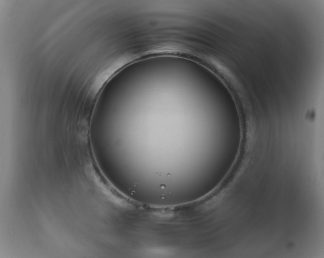 X0000112411329200908211112