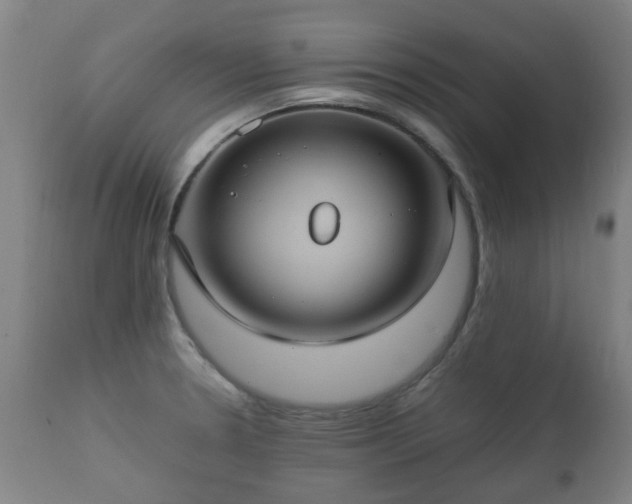 X0000112411330200908211112