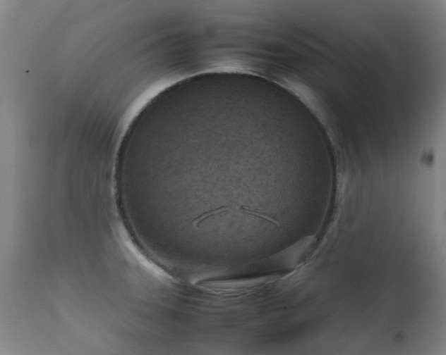 X0000112411331200908211112