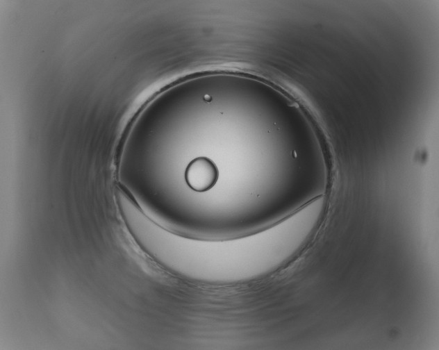 X0000112411332200908211112