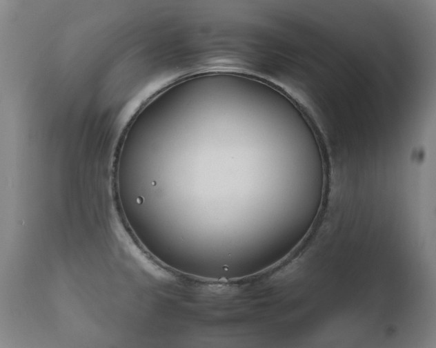 X0000112411333200908211112