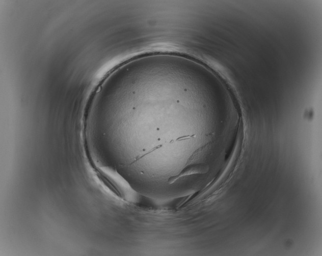 X0000112411334200908211112