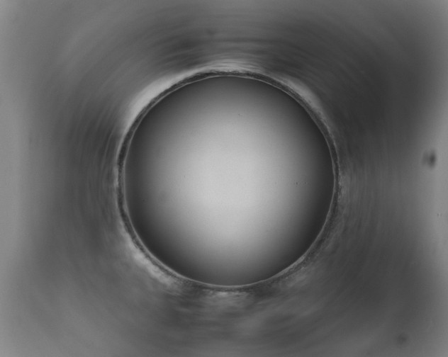 X0000112411335200908211112