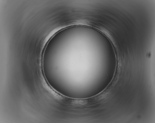 X0000112411339200908211112
