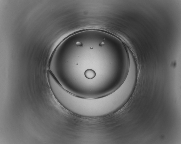 X0000112411340200908211112