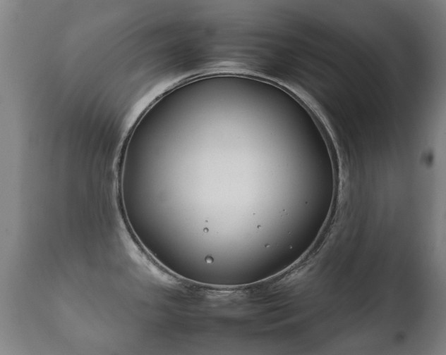 X0000112411341200908211112