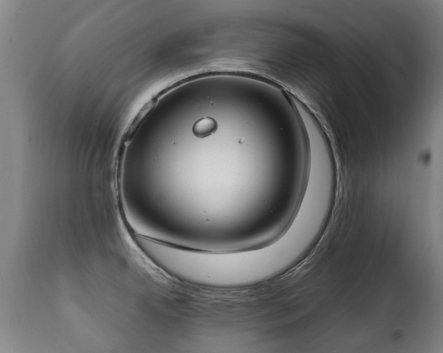 X0000112411342200908211112