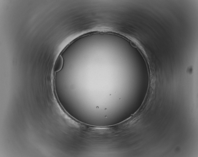 X0000112411343200908211112