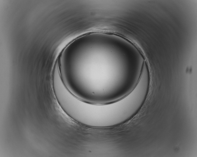 X0000112411344200908211112