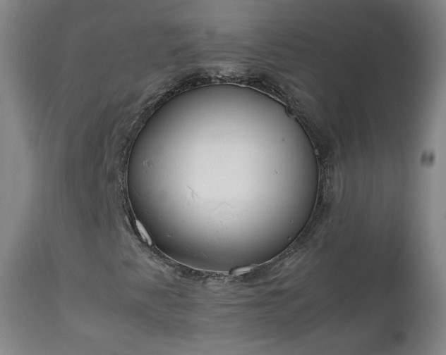 X0000112411345200908211111