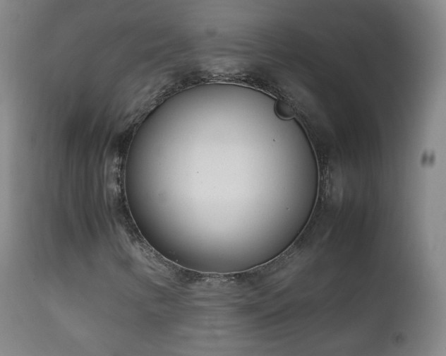 X0000112411346200908211111