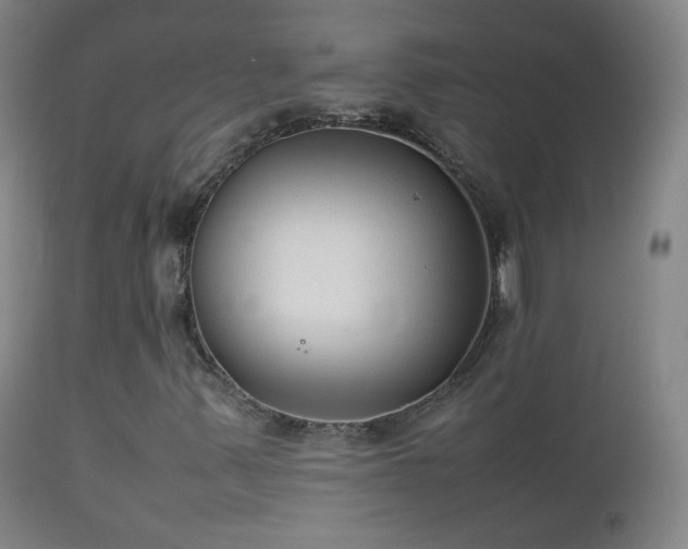 X0000112411347200908211111