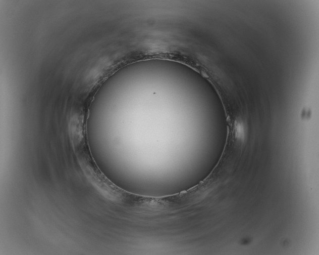 X0000112411348200908211111