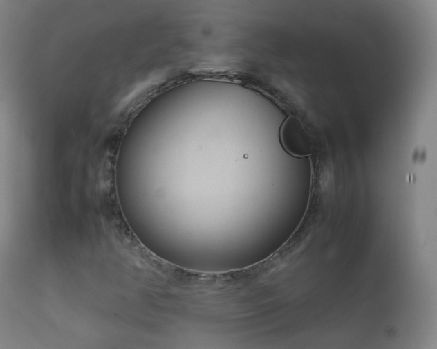 X0000112411350200908211111