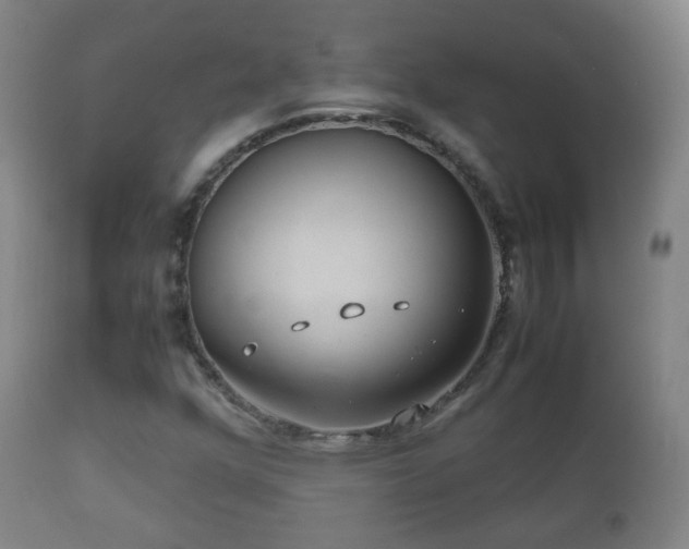 X0000112411352200908211111