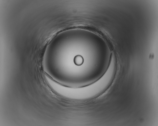 X0000112411353200908211111
