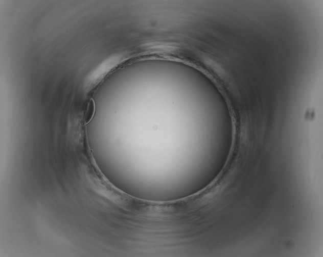X0000112411354200908211111