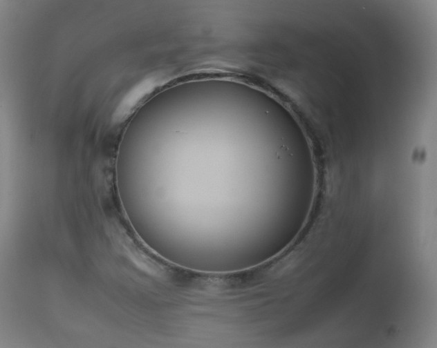 X0000112411355200908211111
