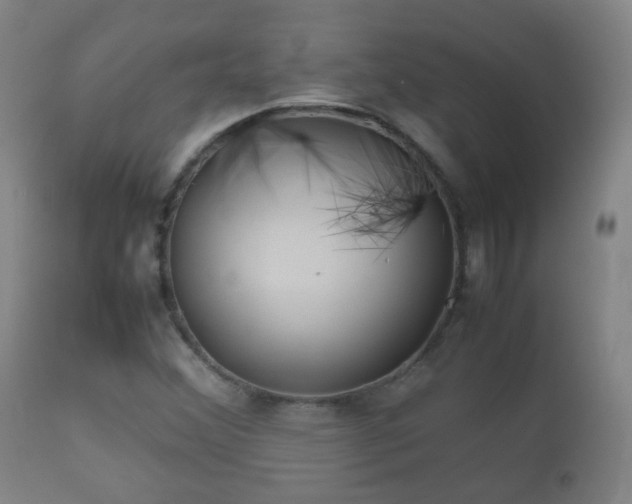 X0000112411356200908211111