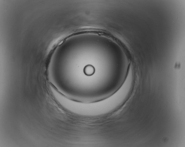 X0000112411357200908211111