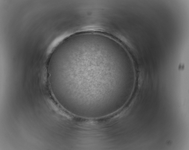 X0000112411358200908211111