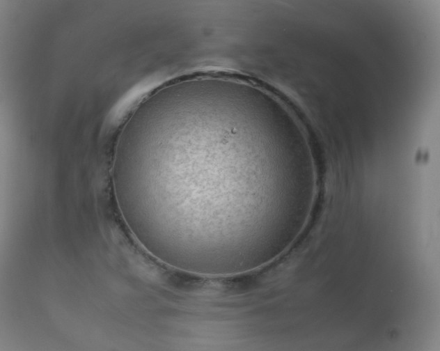 X0000112411359200908211111