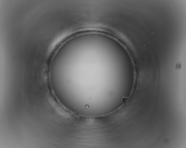 X0000112411360200908211111