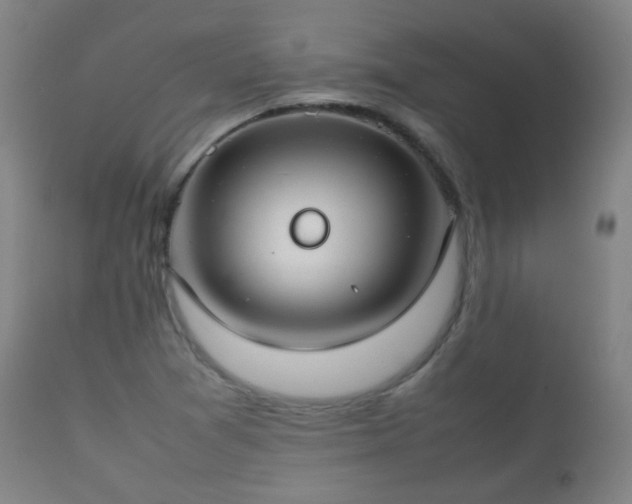 X0000112411361200908211111