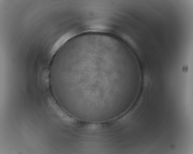 X0000112411362200908211111