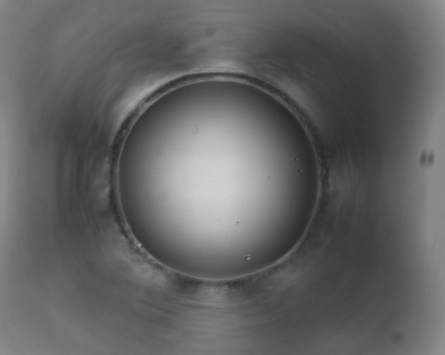 X0000112411364200908211111