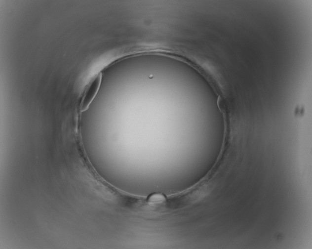 X0000112411365200908211111